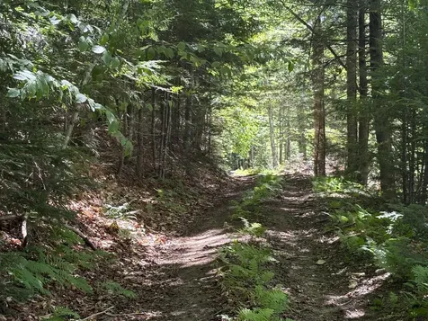 1585 Chateauguay Road Barnard VT 05031