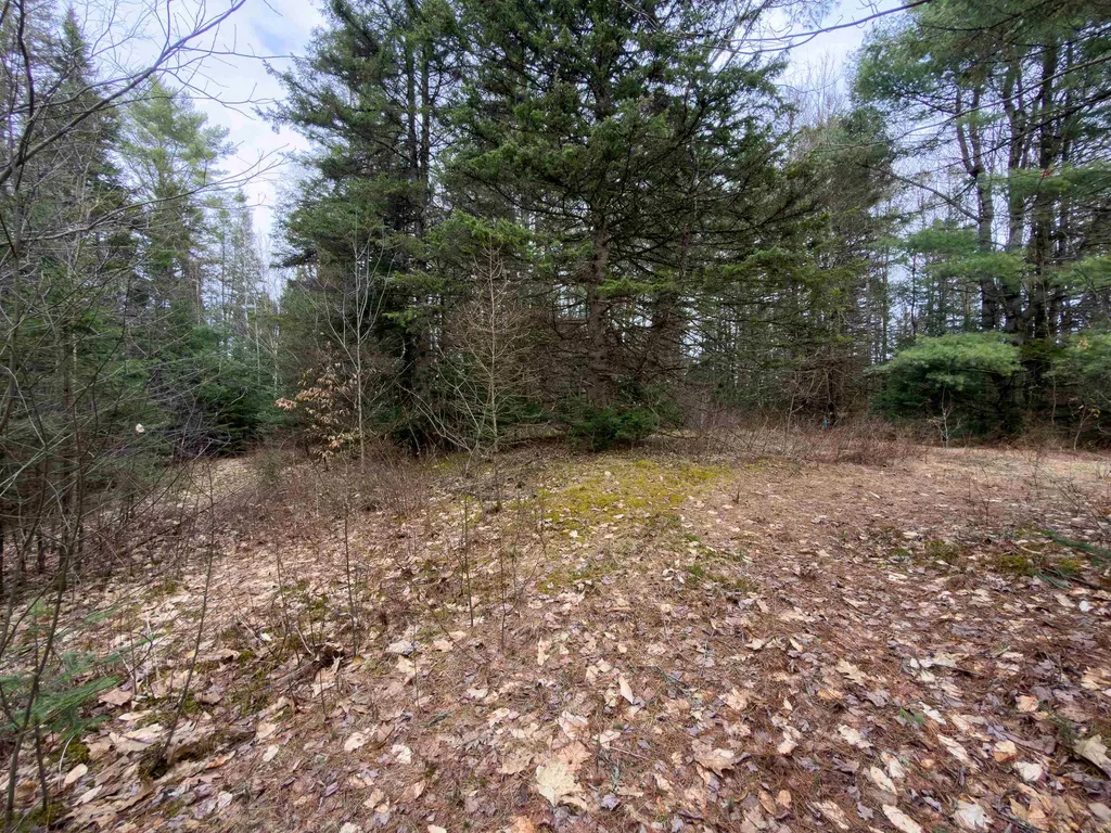 31 Privacy Lane Concord VT 05824