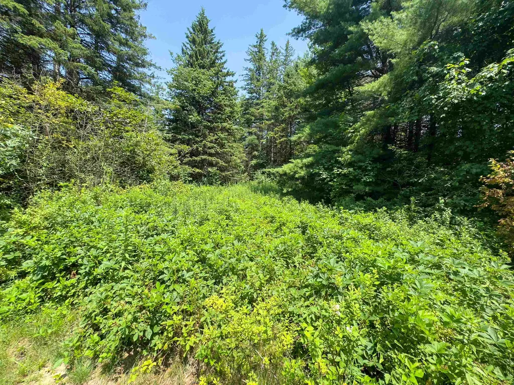 31 Privacy Lane Concord VT 05824