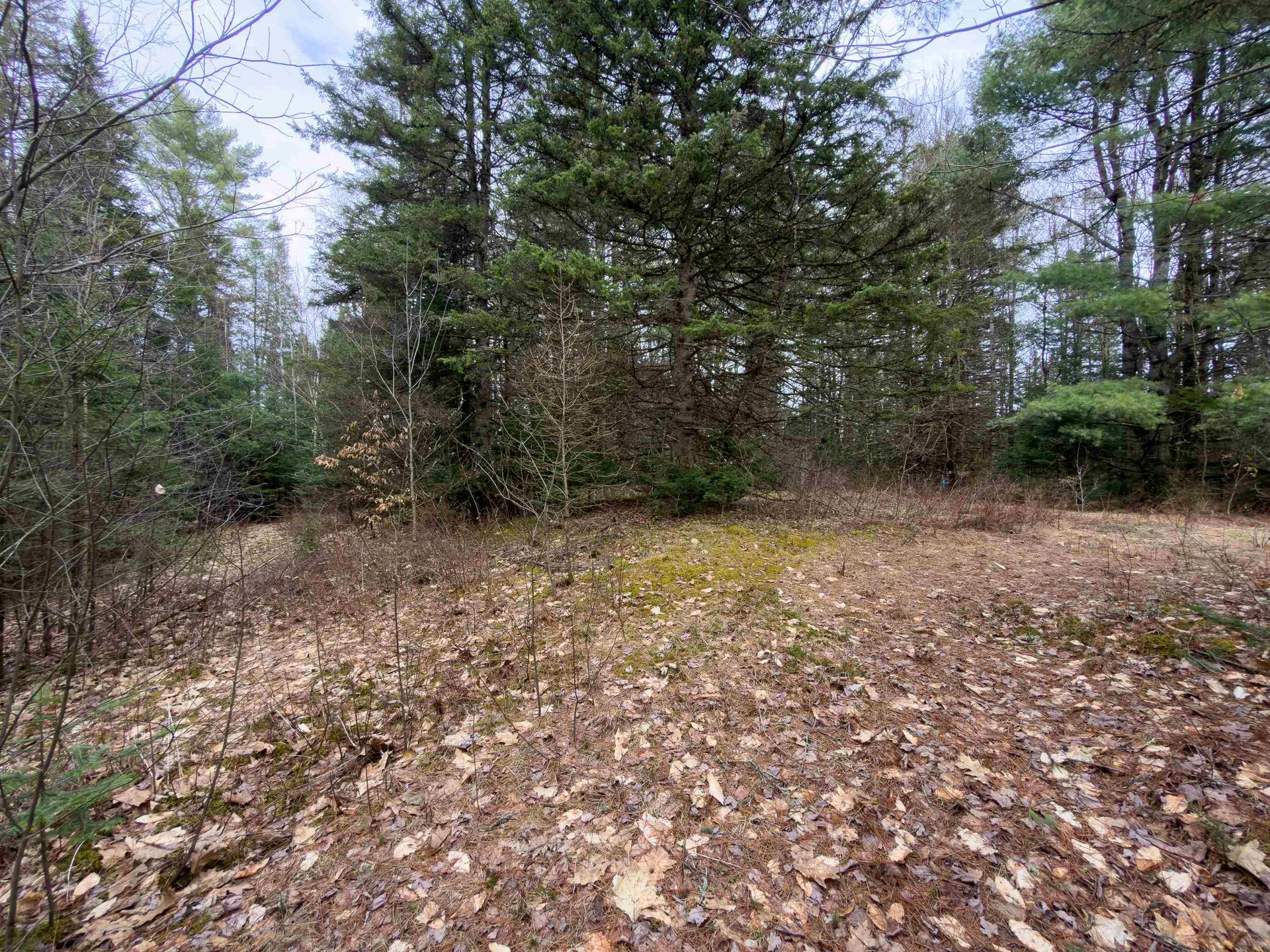 31 Privacy Lane Concord VT 05824