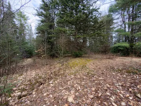 31 Privacy Lane Concord VT 05824