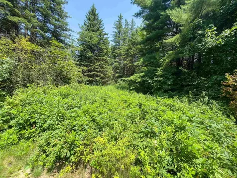 31 Privacy Lane Concord VT 05824