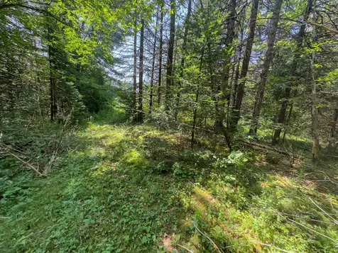 31 Privacy Lane Concord VT 05824