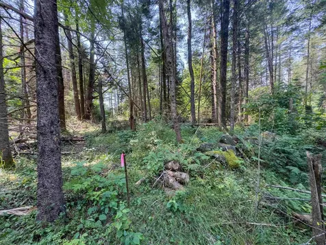 31 Privacy Lane Concord VT 05824