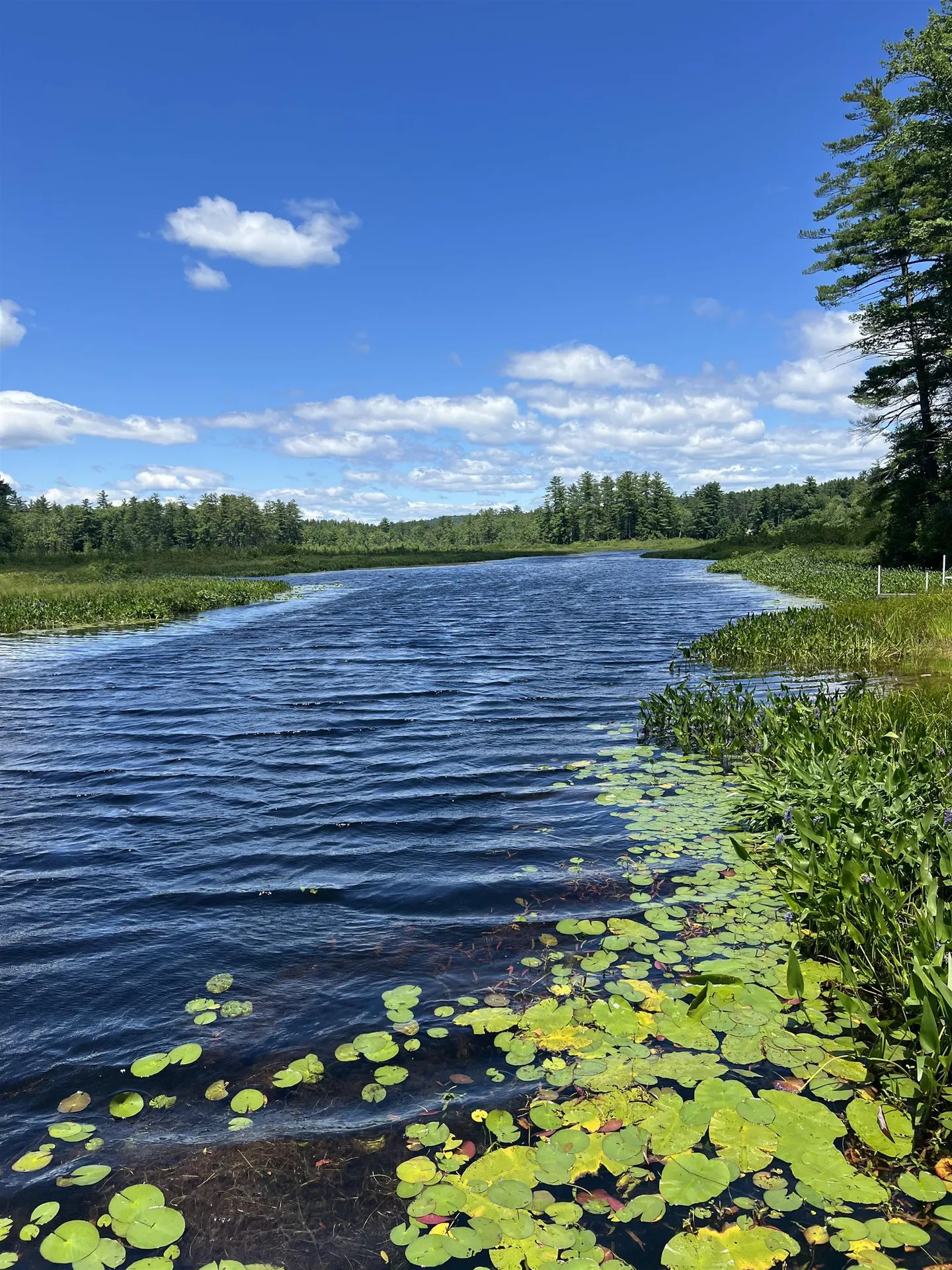 122 Chickadee Lane Alton NH 03809