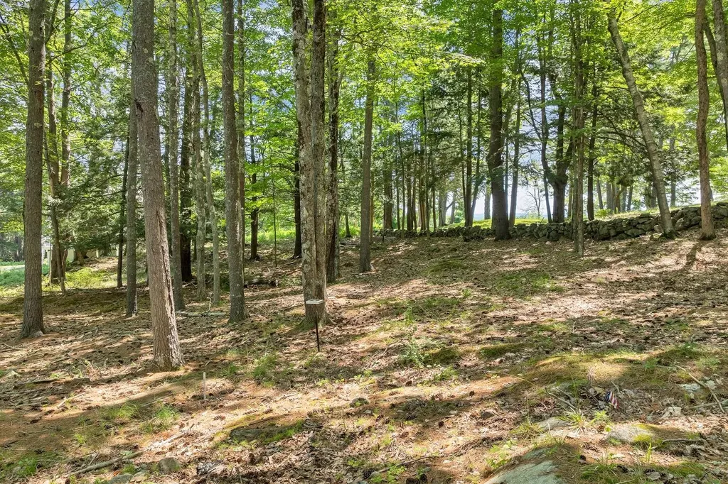 10 Woodridge Road Moultonborough NH 03254