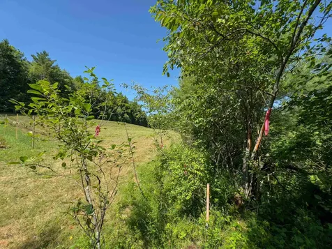 Lot 3 Wildflower Way Bath NH 03740