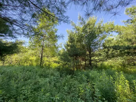 Lot 3 Wildflower Way Bath NH 03740