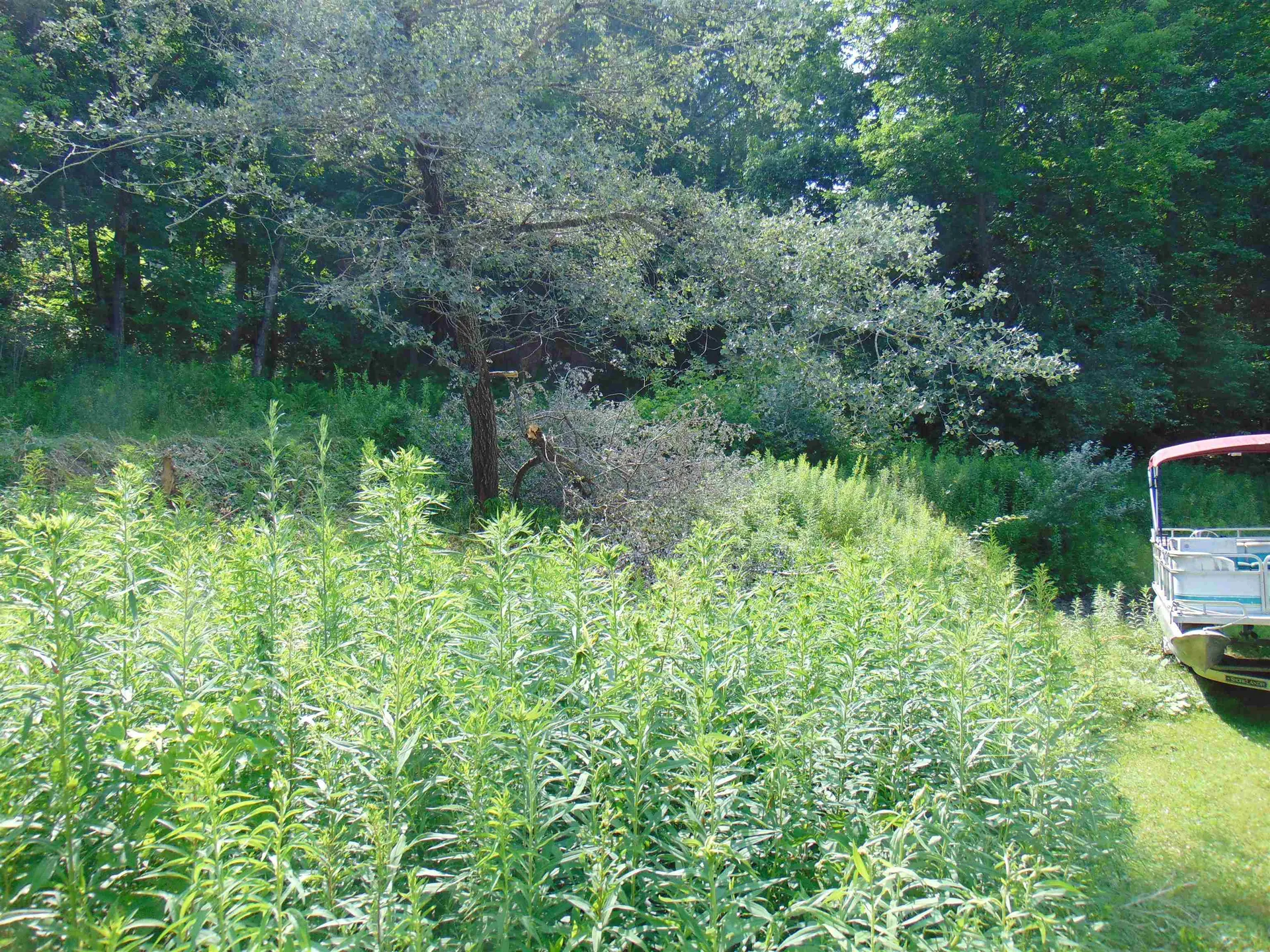 74 Mountain Avenue St. Johnsbury VT 05819