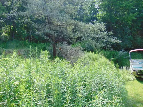 74 Mountain Avenue St. Johnsbury VT 05819