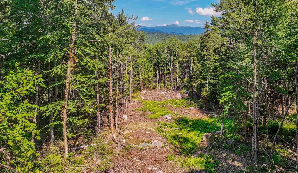 000 Ridge Road Bethlehem NH 03574