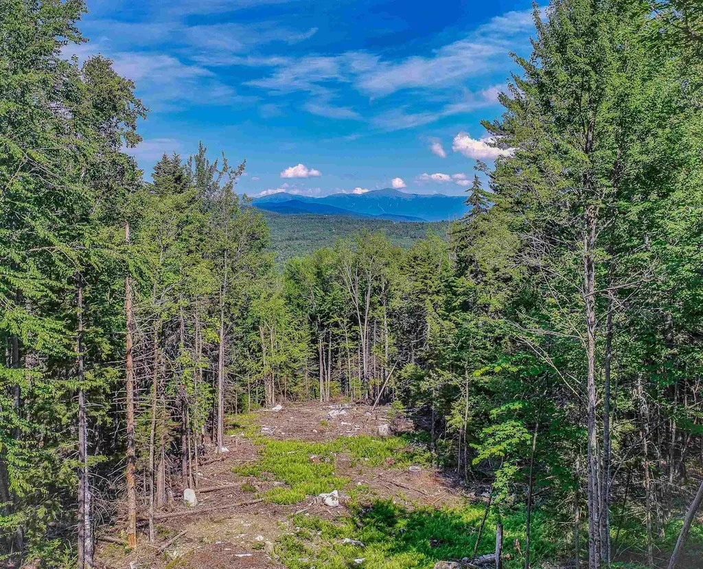000 Ridge Road Bethlehem NH 03574
