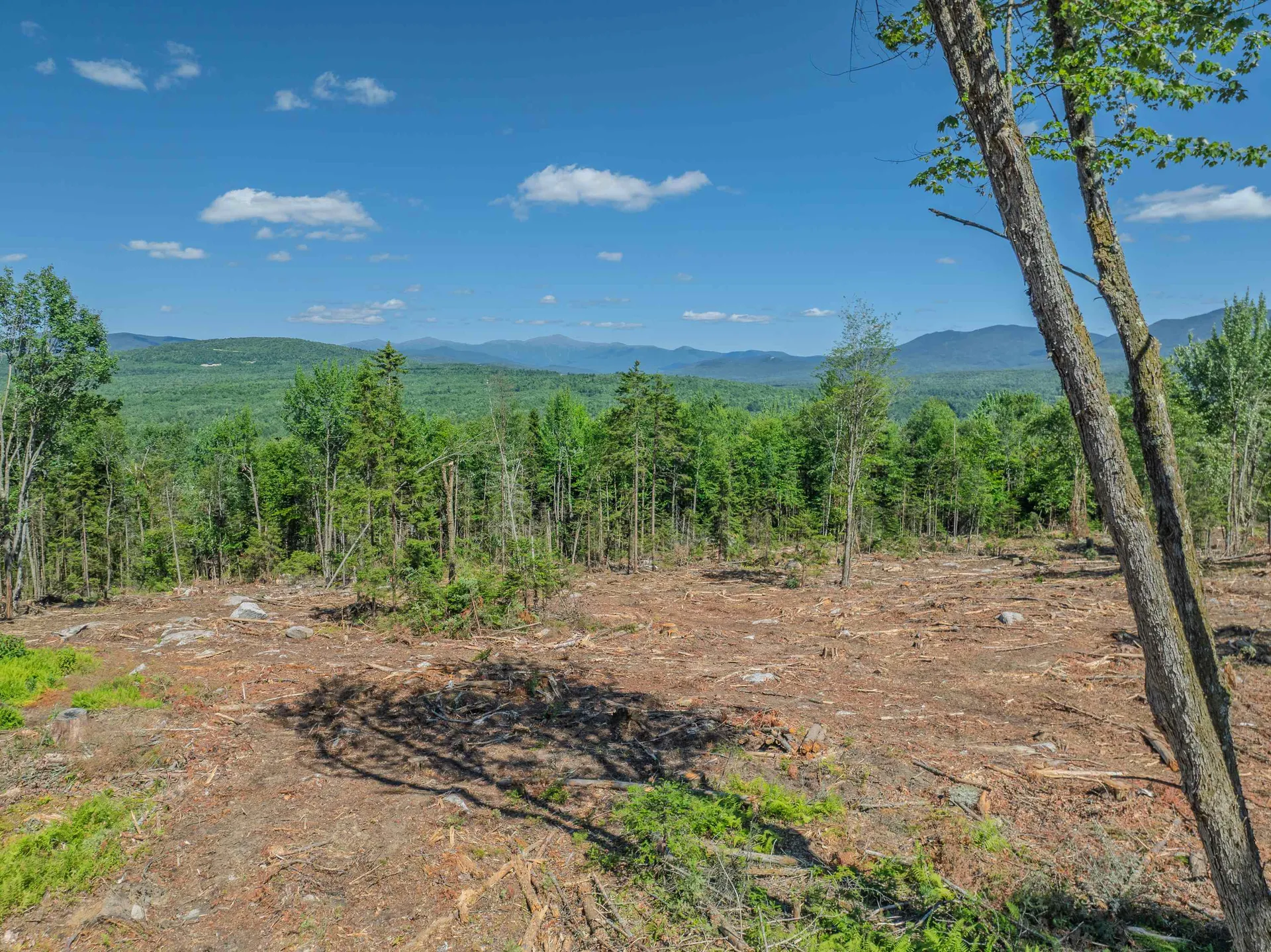 000 Ridge Road Bethlehem NH 03574