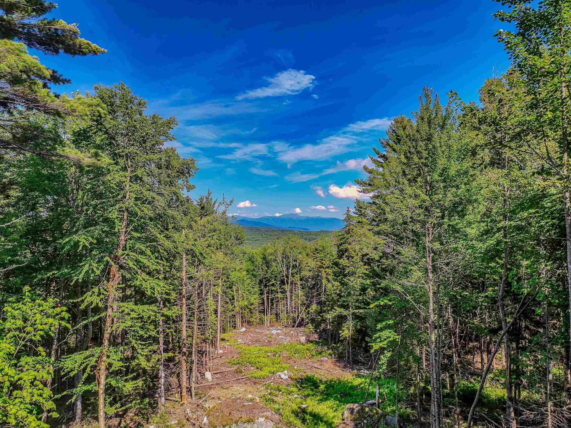 000 Ridge Road Bethlehem NH 03574