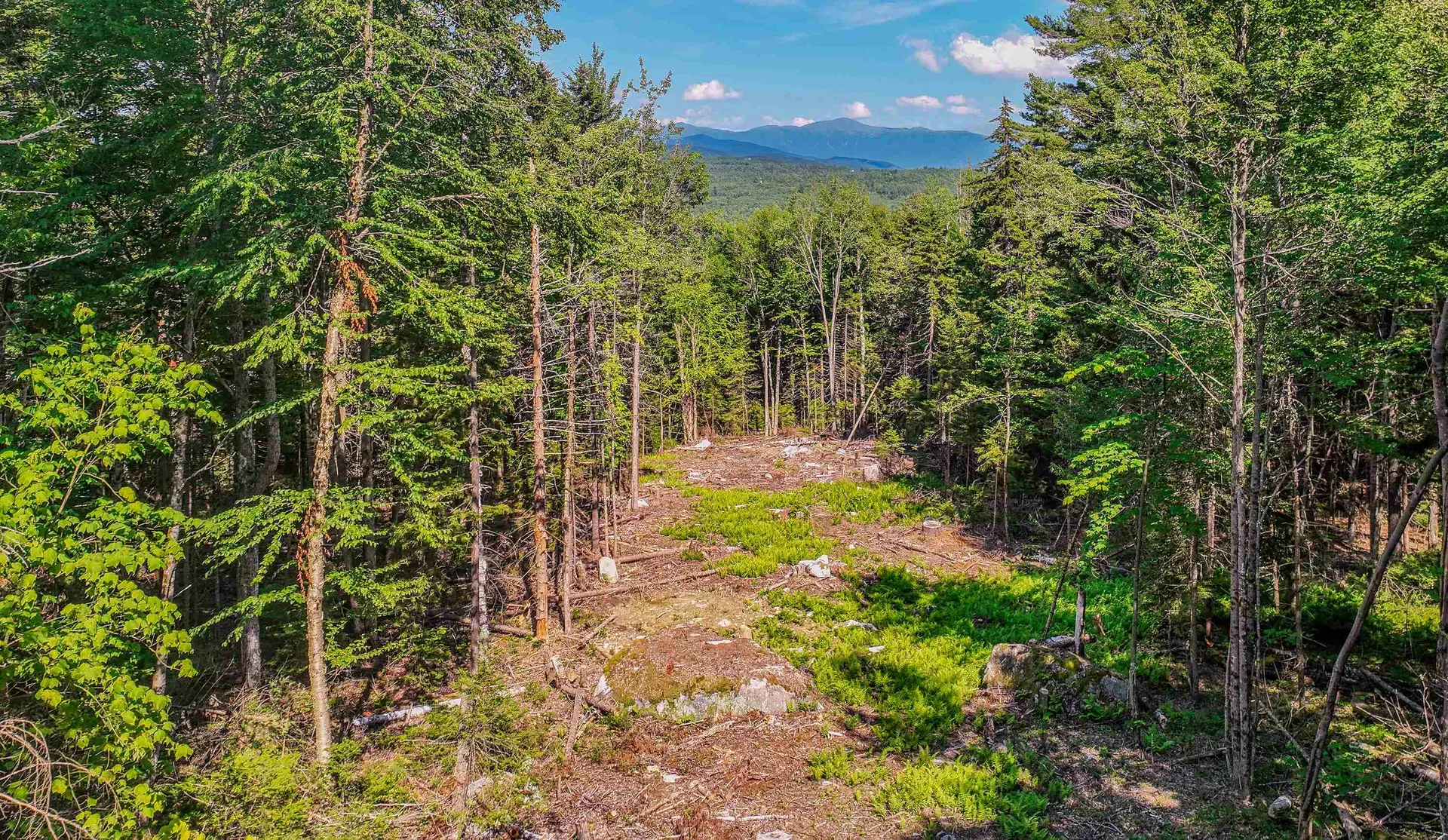 000 Ridge Road Bethlehem NH 03574