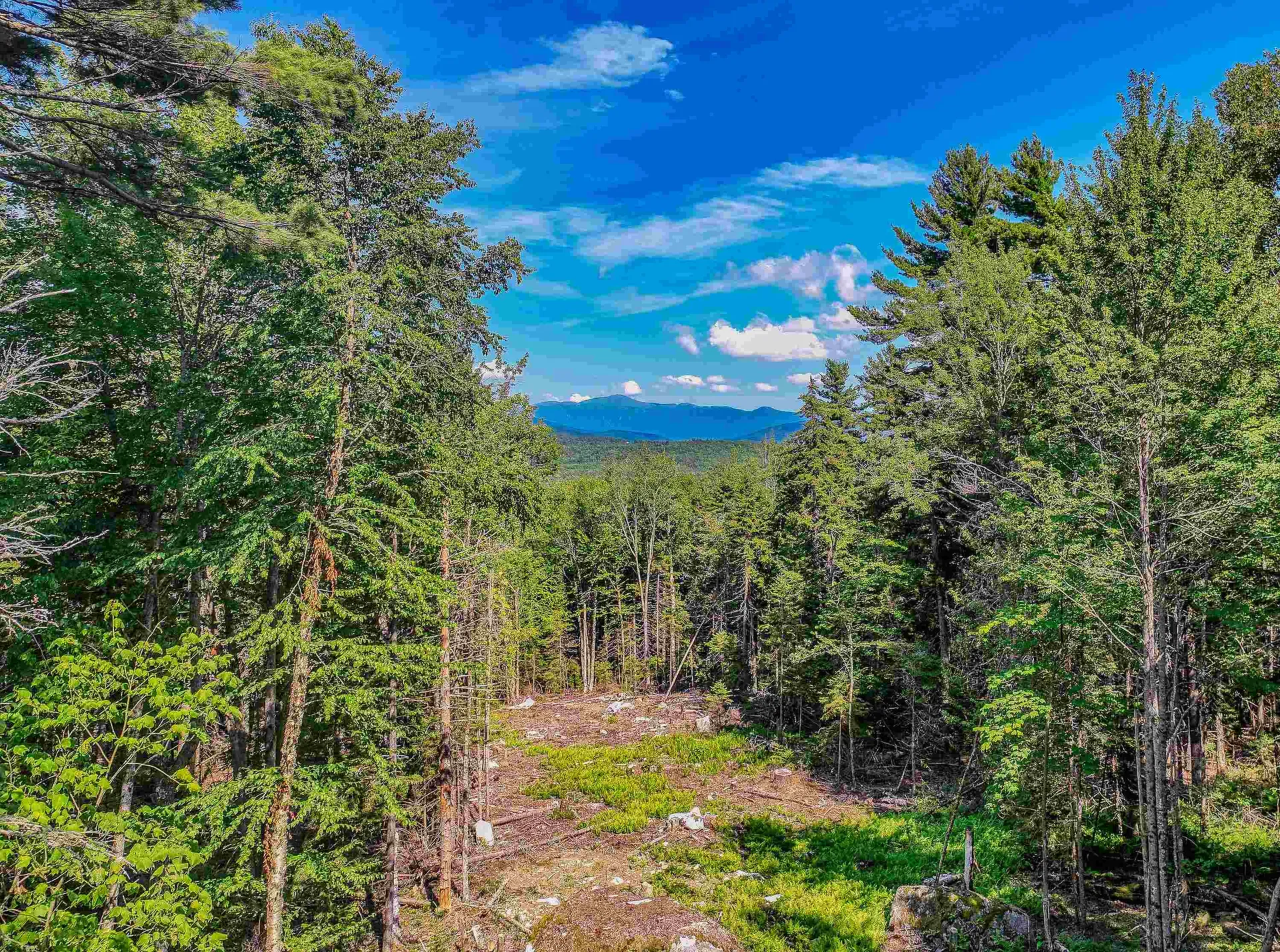 000 Ridge Road Bethlehem NH 03574