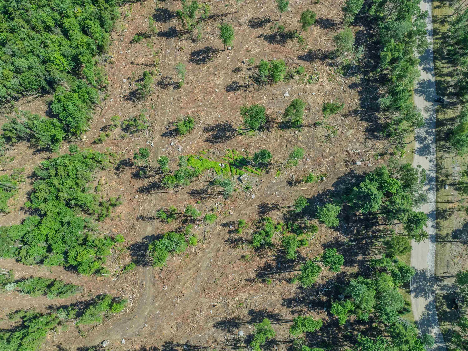 000 Ridge Road Bethlehem NH 03574