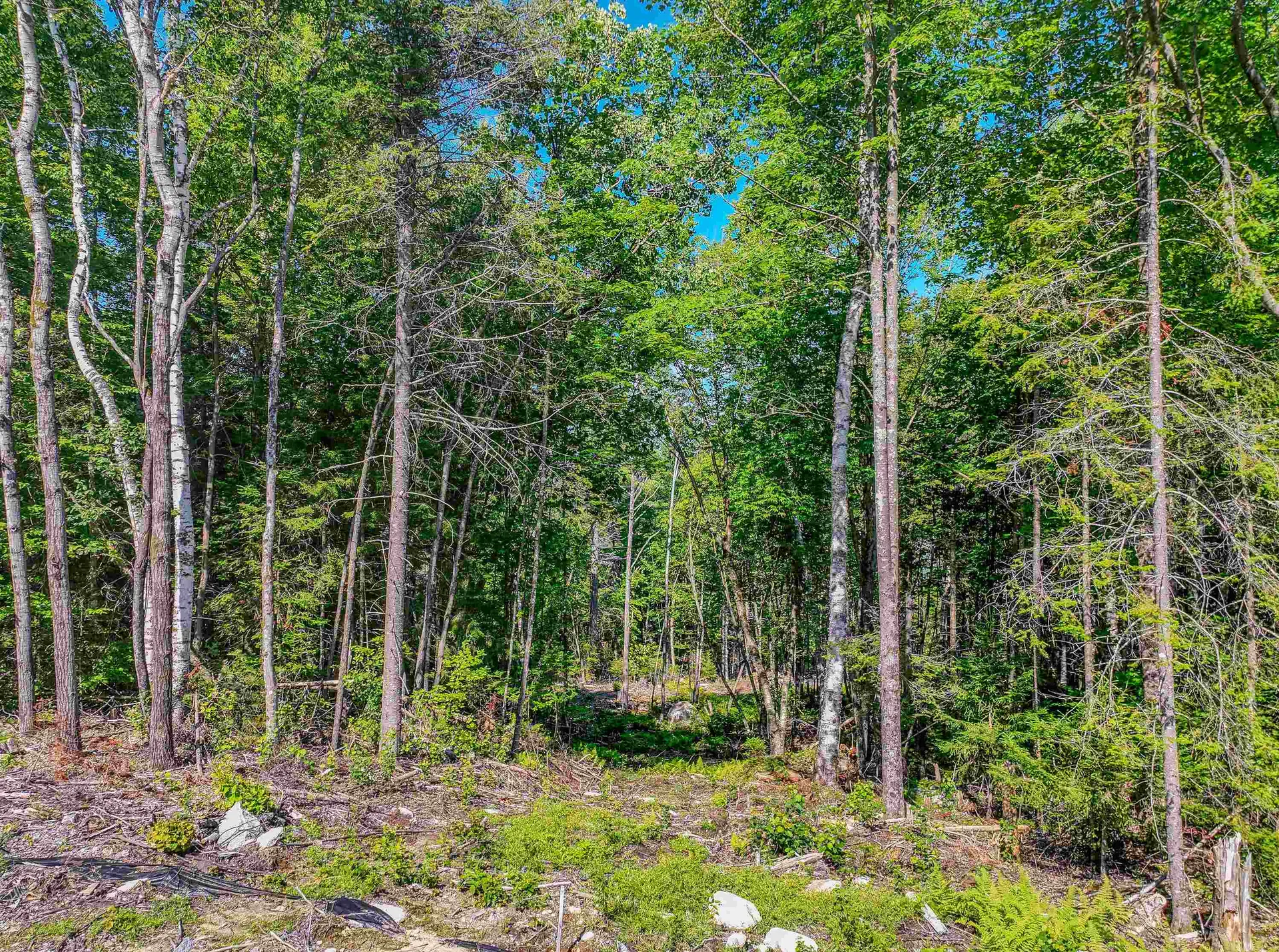 000 Ridge Road Bethlehem NH 03574