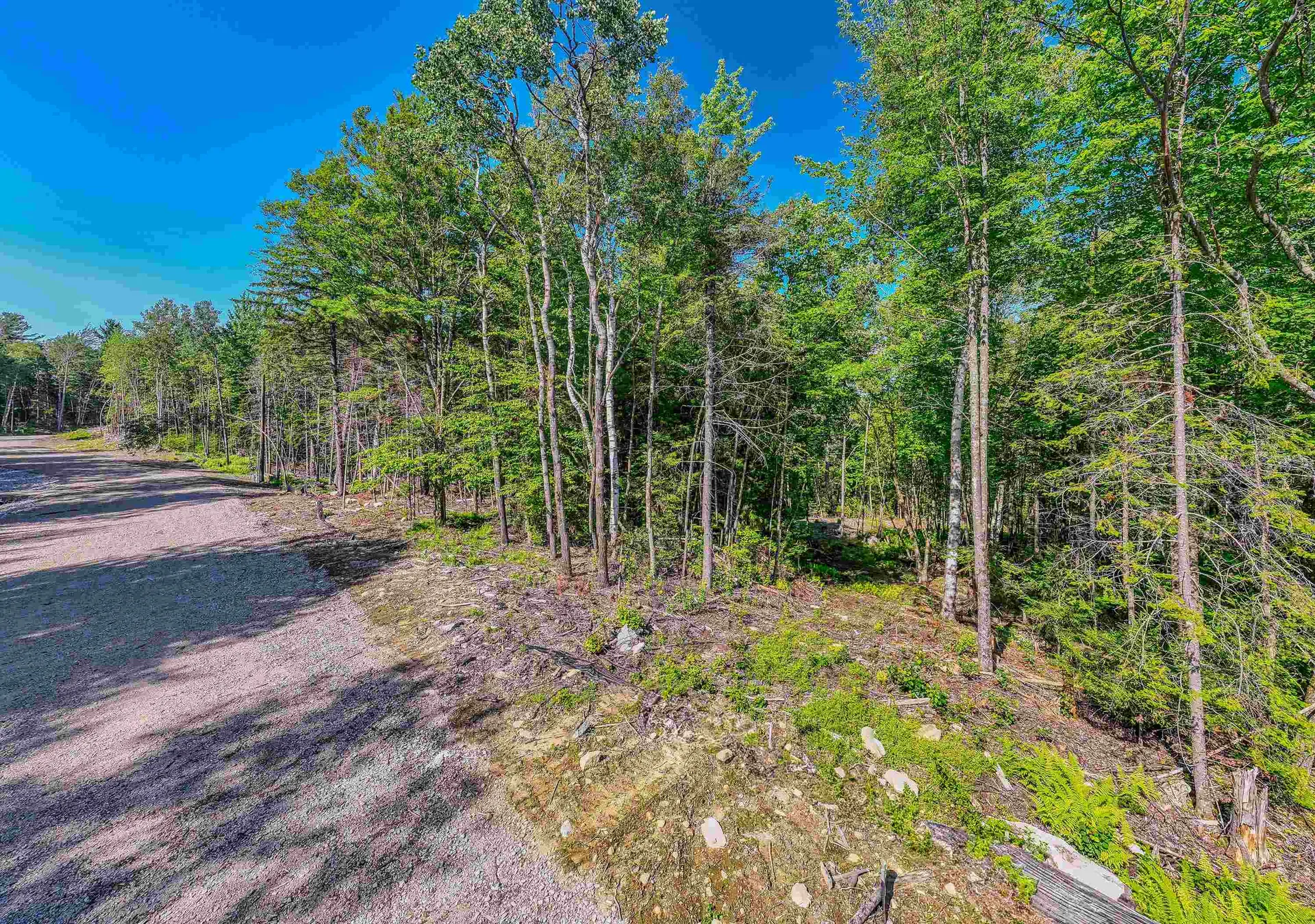 000 Ridge Road Bethlehem NH 03574