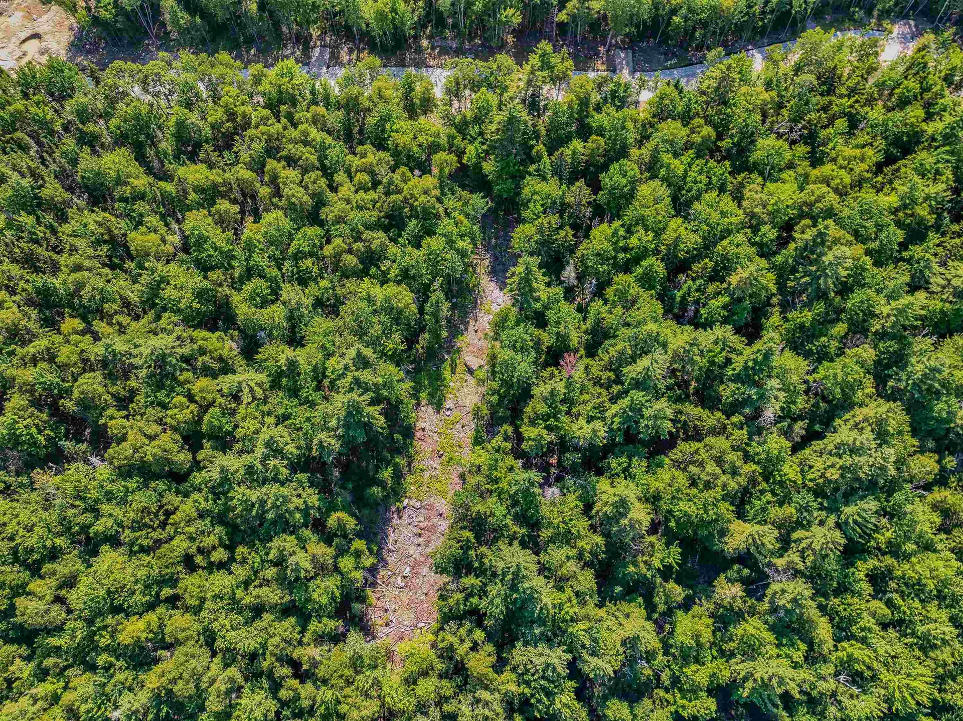 000 Ridge Road Bethlehem NH 03574