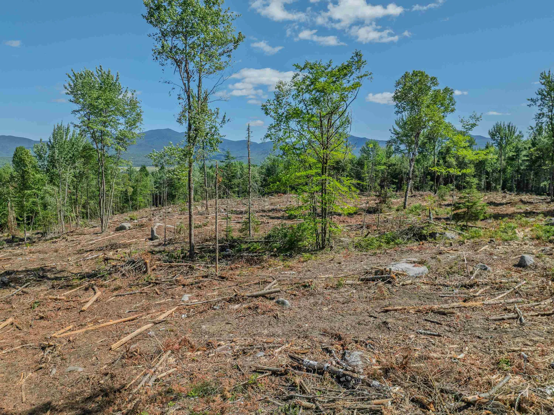 000 Ridge Road Bethlehem NH 03574