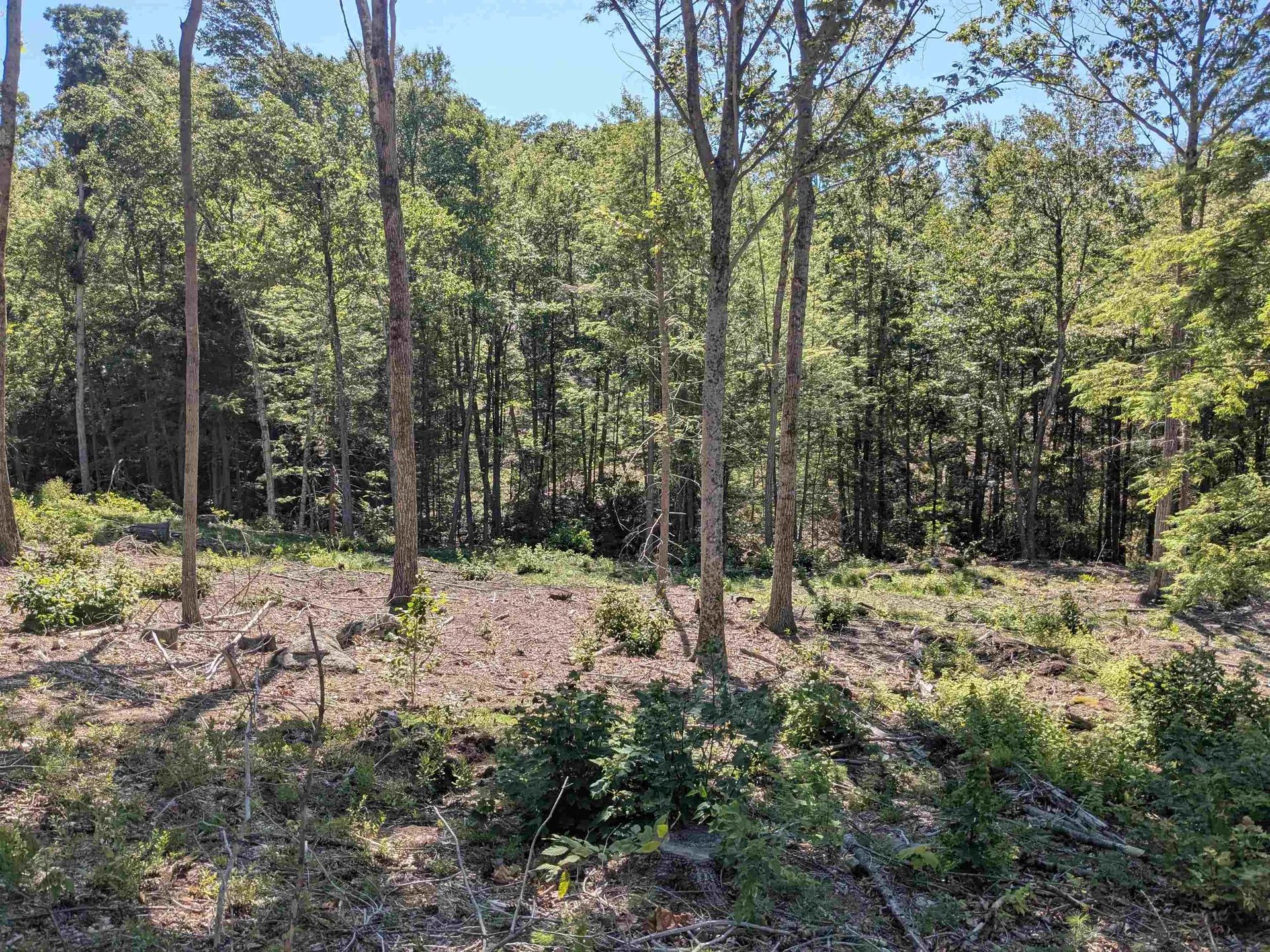 0 Old Hinsdale Road Winchester NH 03470