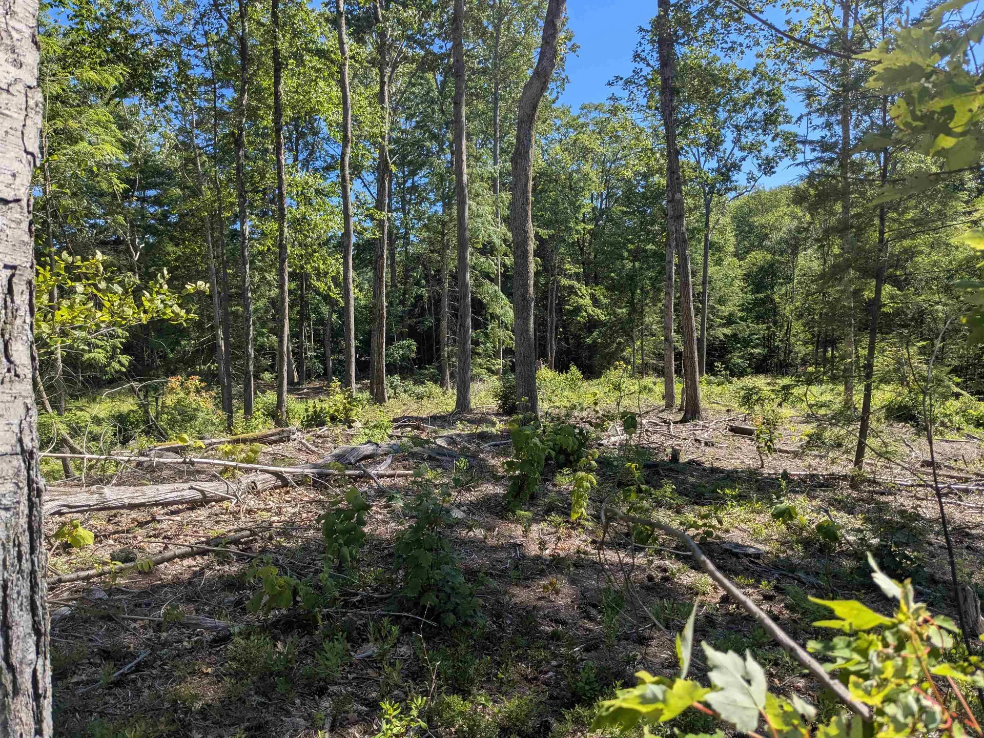 0 Old Hinsdale Road Winchester NH 03470