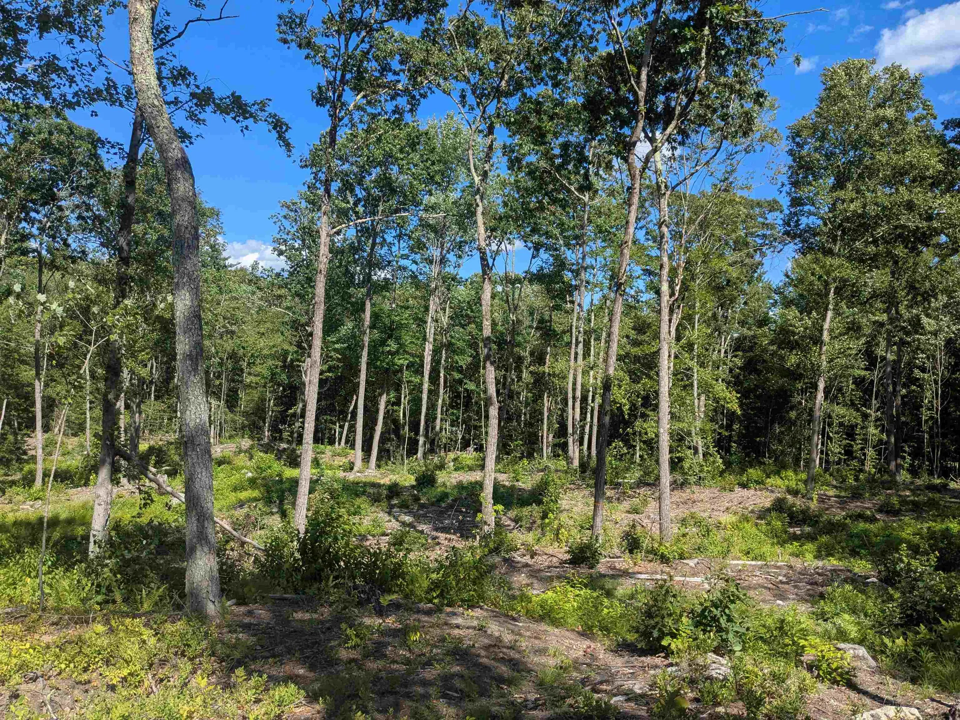 0 Old Hinsdale Road Winchester NH 03470