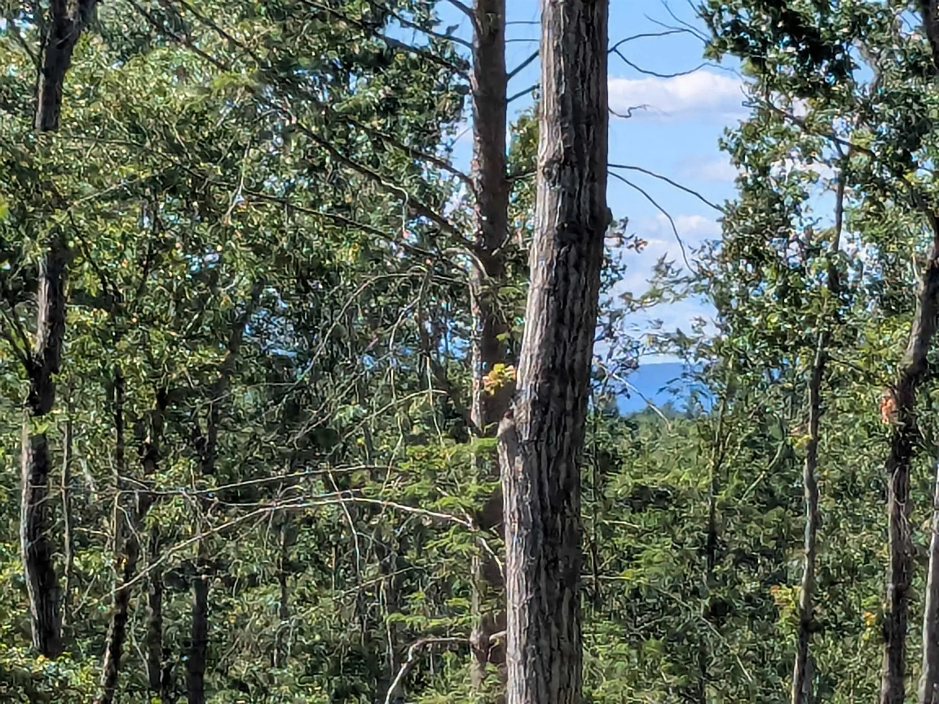 0 Old Hinsdale Road Winchester NH 03470