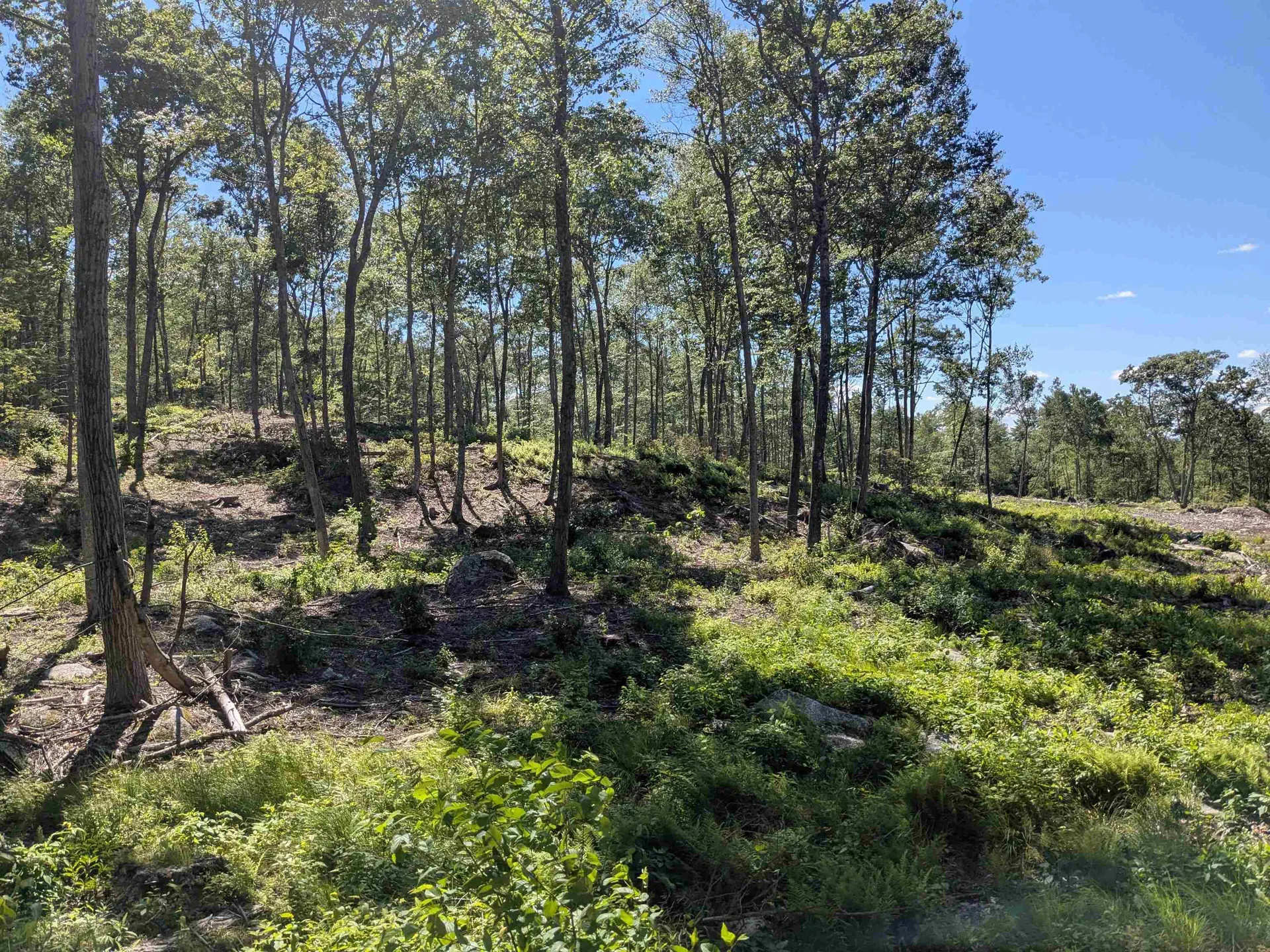 0 Old Hinsdale Road Winchester NH 03470