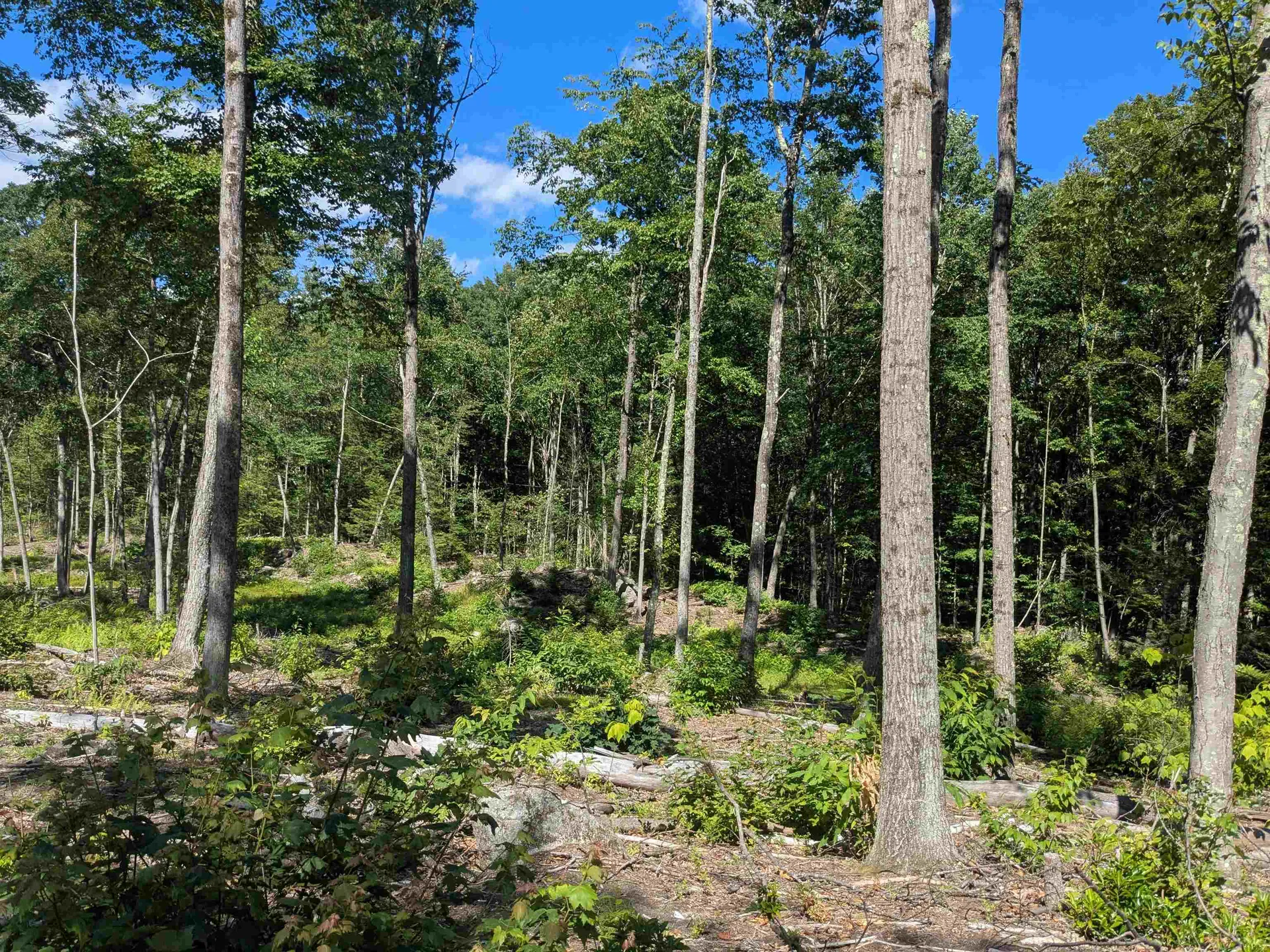 0 Old Hinsdale Road Winchester NH 03470