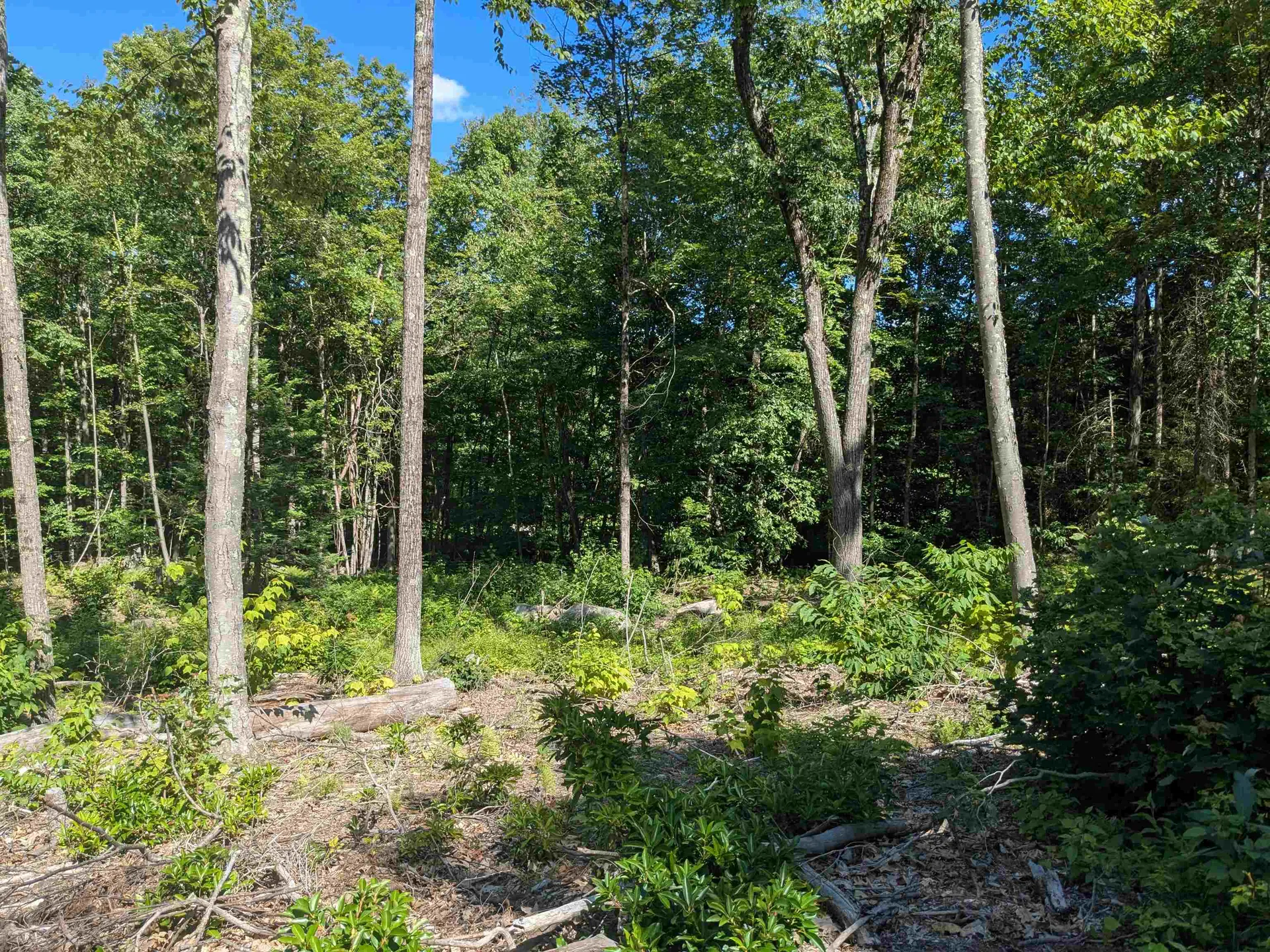 0 Old Hinsdale Road Winchester NH 03470