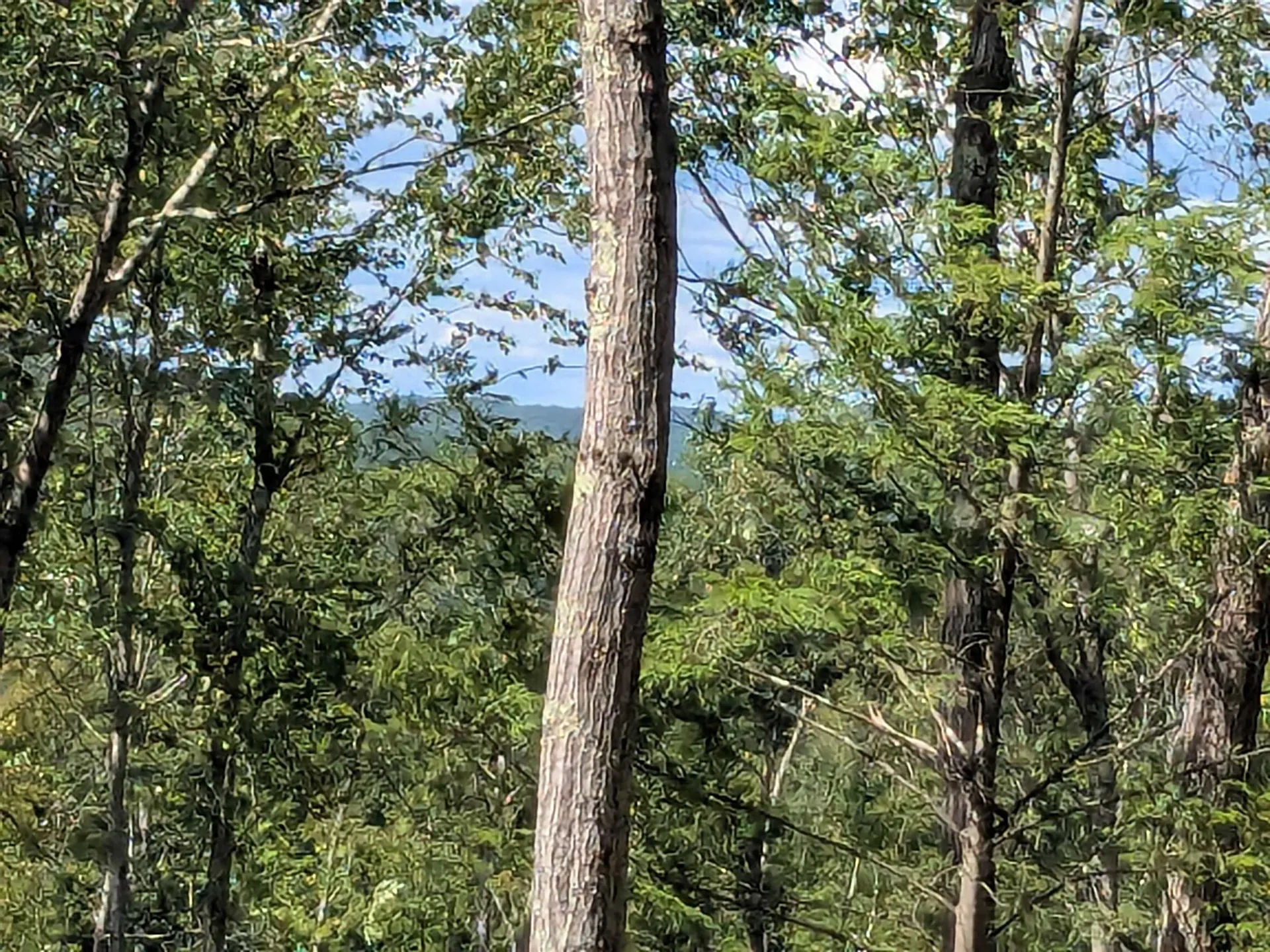 0 Old Hinsdale Road Winchester NH 03470