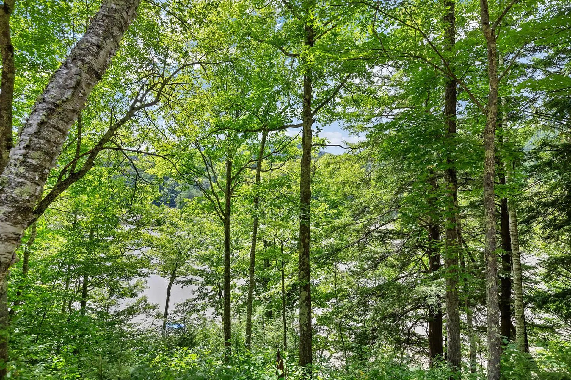 71 Lakeview Road Plymouth VT 05056-7905