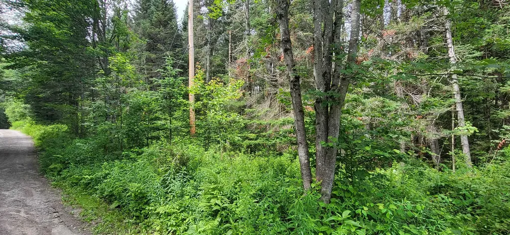 0 Thomas West Road Lunenburg VT 05906