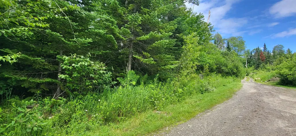 0 Thomas West Road Lunenburg VT 05906