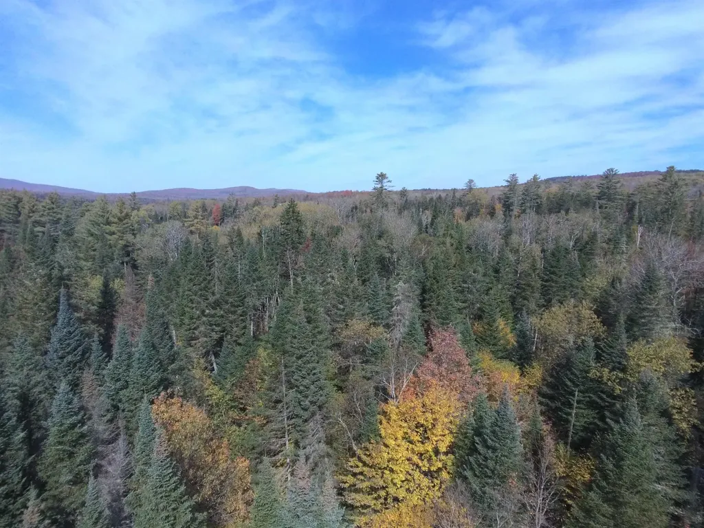 0 Thomas West Road Lunenburg VT 05906