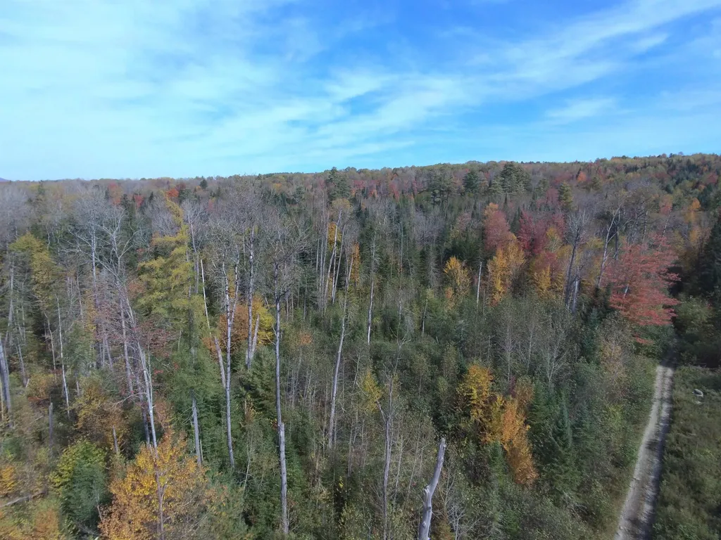 0 Thomas West Road Lunenburg VT 05906