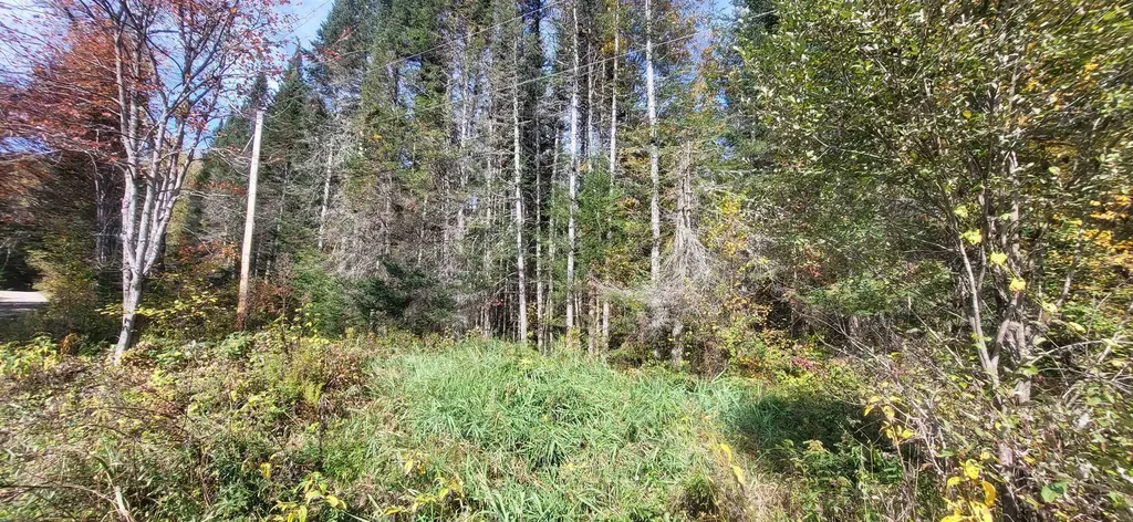 0 Thomas West Road Lunenburg VT 05906