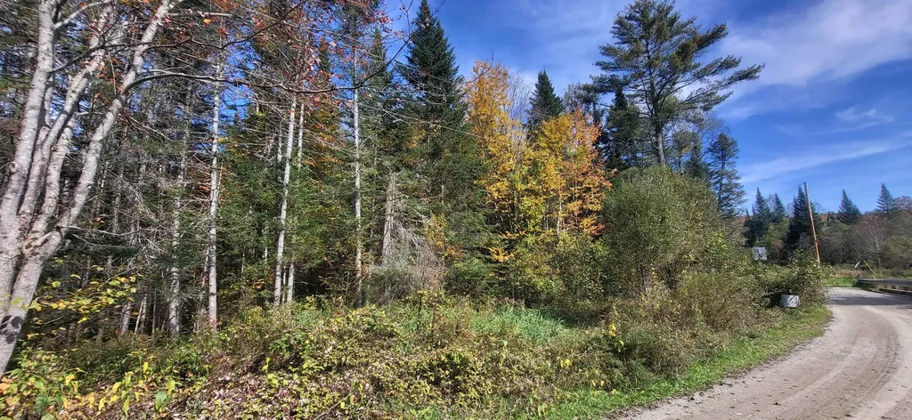 0 Thomas West Road Lunenburg VT 05906