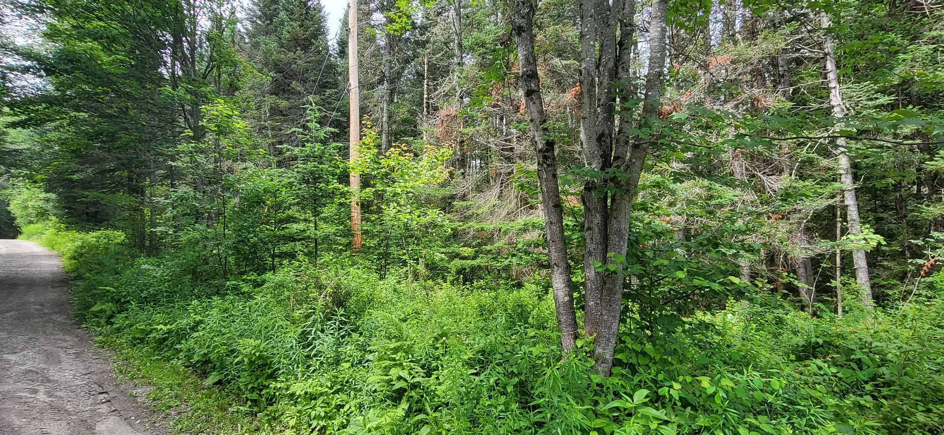 0 Thomas West Road Lunenburg VT 05906