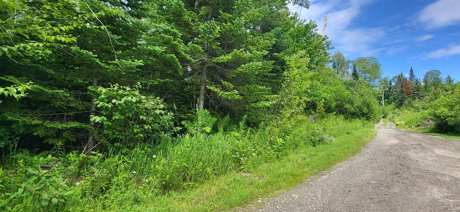 0 Thomas West Road Lunenburg VT 05906