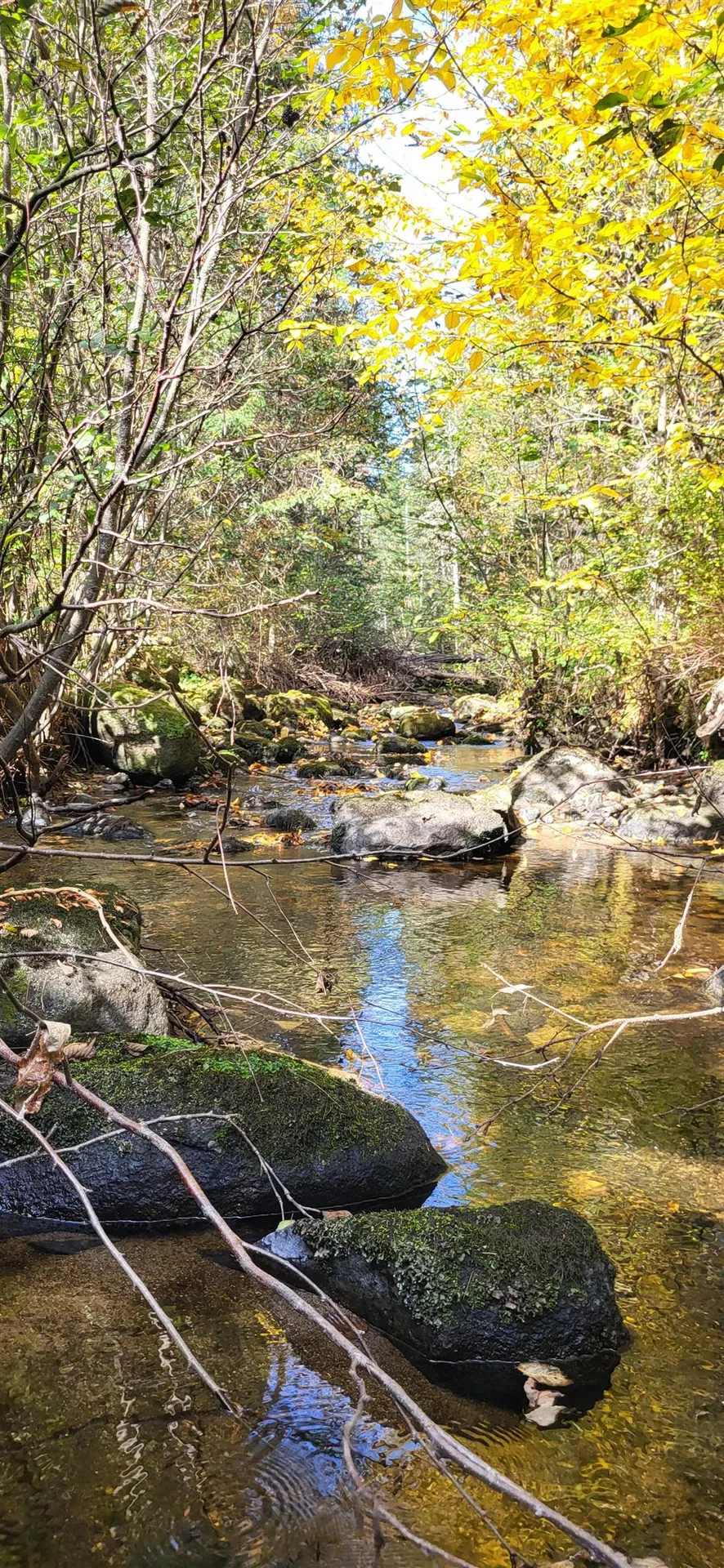 0 Thomas West Road Lunenburg VT 05906