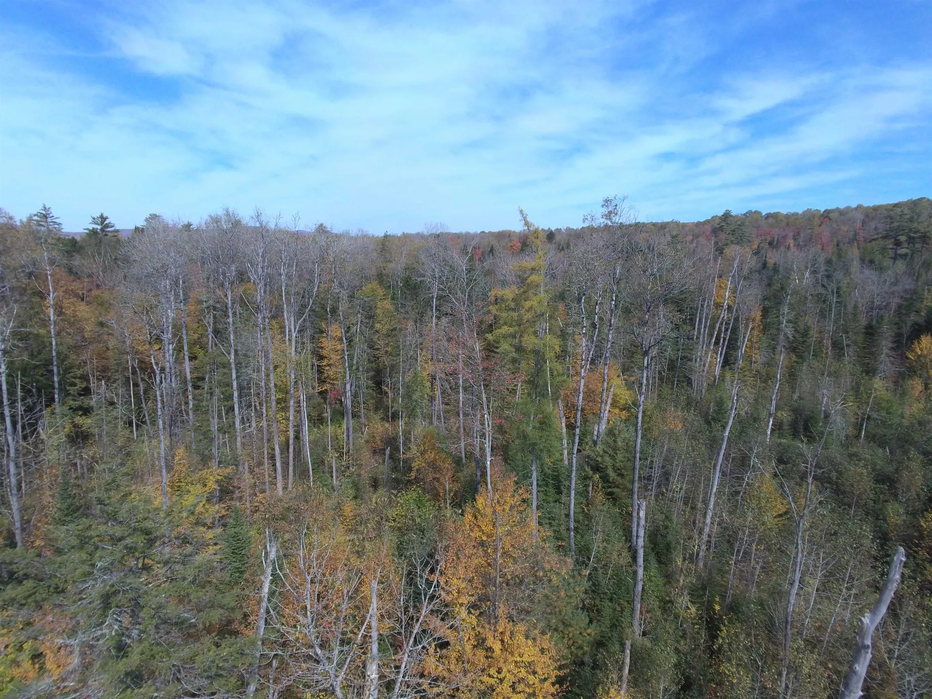 0 Thomas West Road Lunenburg VT 05906