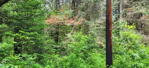 0 Thomas West Road Lunenburg VT 05906