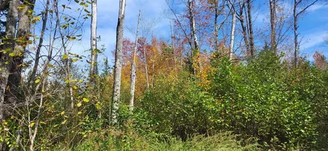 0 Thomas West Road Lunenburg VT 05906