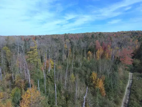 0 Thomas West Road Lunenburg VT 05906