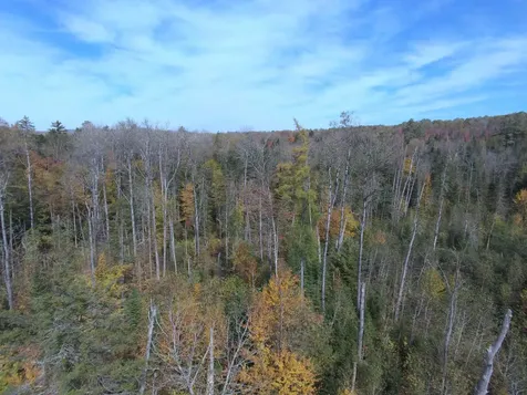 0 Thomas West Road Lunenburg VT 05906