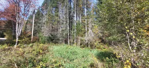 0 Thomas West Road Lunenburg VT 05906