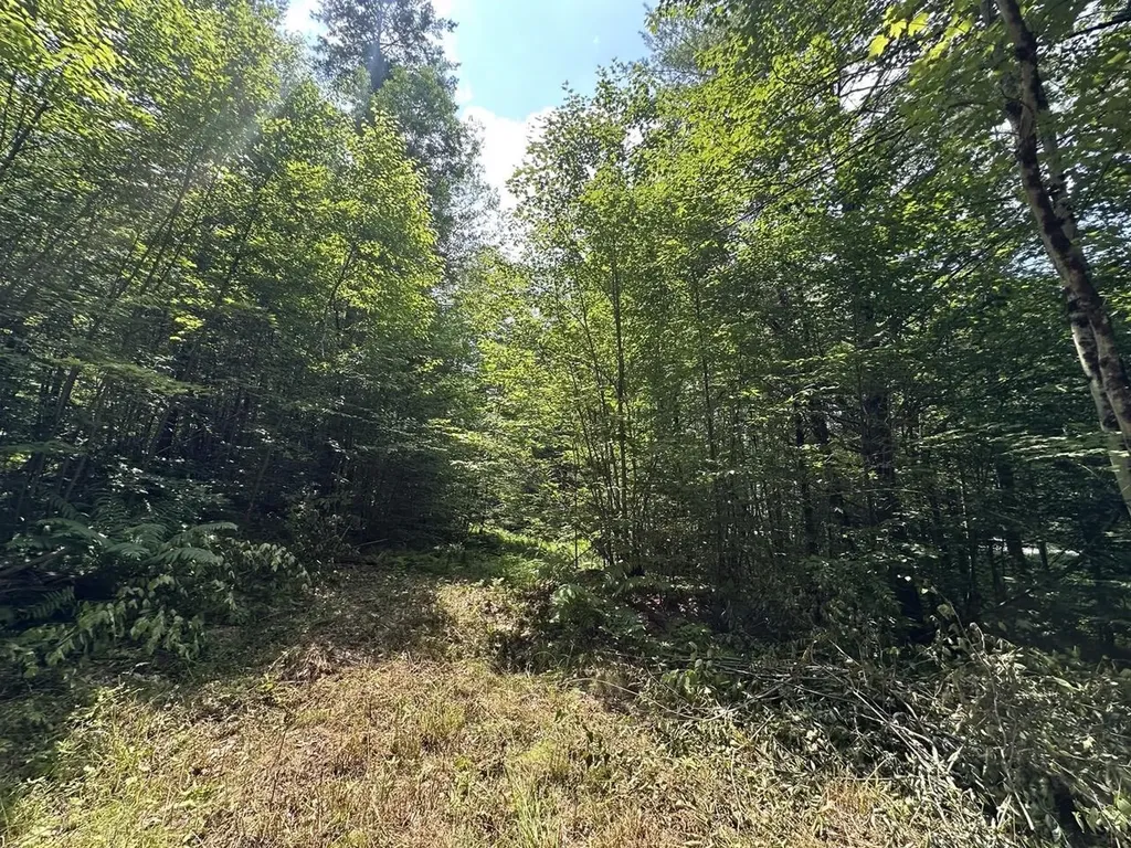 00 Vt Route 103 N Chester VT 05143